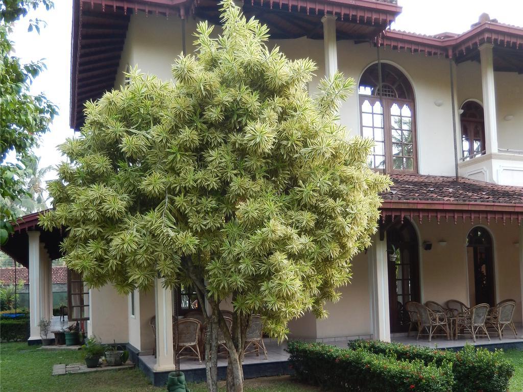 אהונגלה Villa Ranmenika מראה חיצוני תמונה